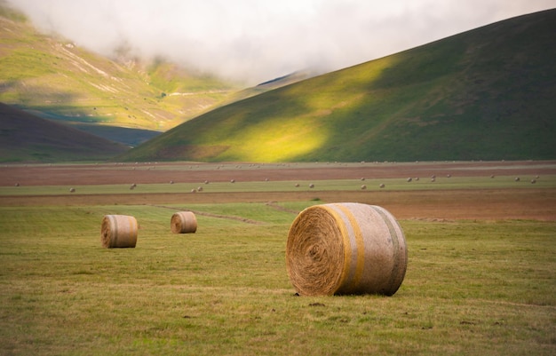 Paesaggio rurale con balle di fieno in estate