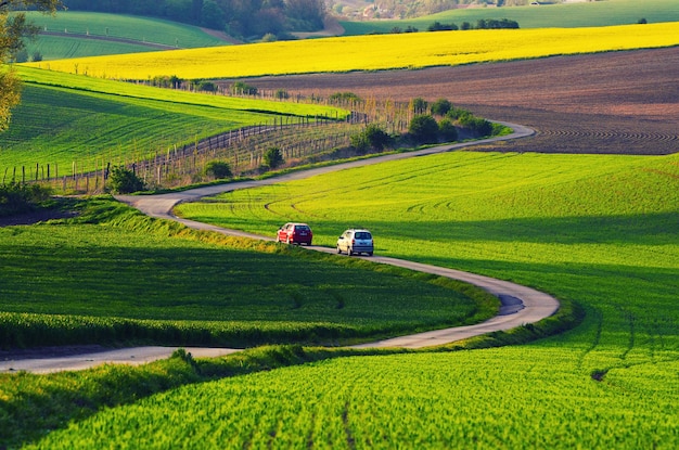 Paesaggio rurale con campi verdi auto su strada e onde Moravia meridionale Repubblica Ceca