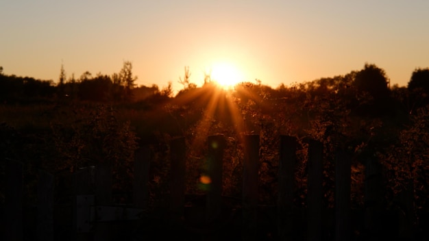 Paesaggio rurale con campo al tramonto e villaggio sullo sfondo della regione vologda