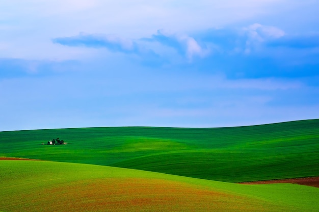 Paesaggio rurale con campo verde, cielo blu e capanna di caccia in legno, Moravia meridionale, Repubblica Ceca