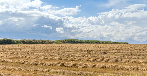 paesaggio rurale con nuvole