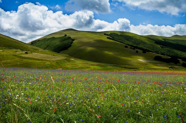Paesaggio rurale contro le nuvole