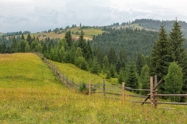 Paesaggio rurale della natura pura delle colline della montagna