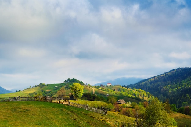 Paesaggio rurale di mattina d'oro di primavera nella Mizhhiria, montagne dei Carpazi.