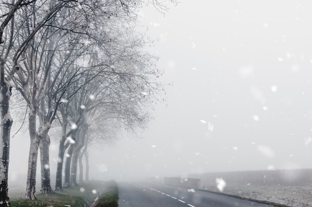 Paesaggio rurale di Misty Winter con strada campestre