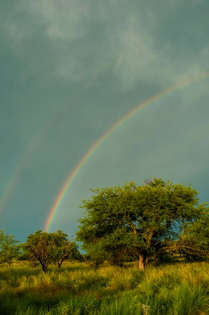 Paesaggio rurale e arcobaleno Provincia di Buenos Aires Argentina