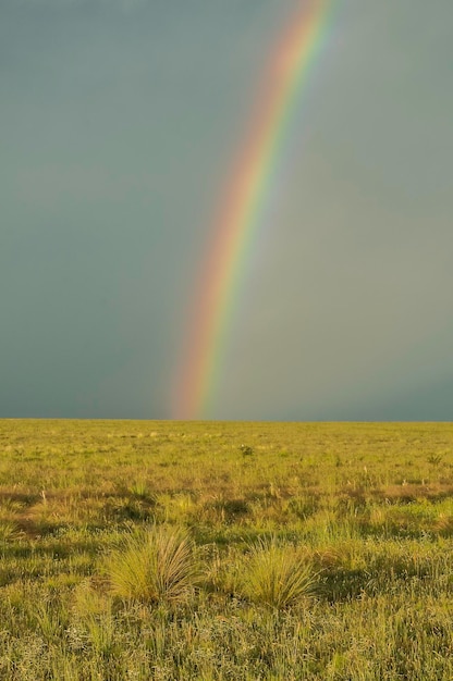 Paesaggio rurale e arcobalenoProvincia di Buenos Aires Argentina