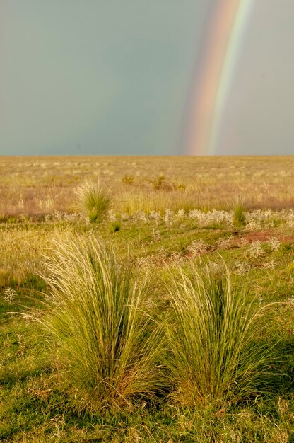 Paesaggio rurale e provincia di rainbowBuenos Aires Argentina