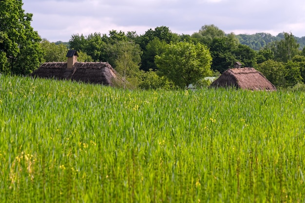 Paesaggio rurale estivo in una giornata di sole