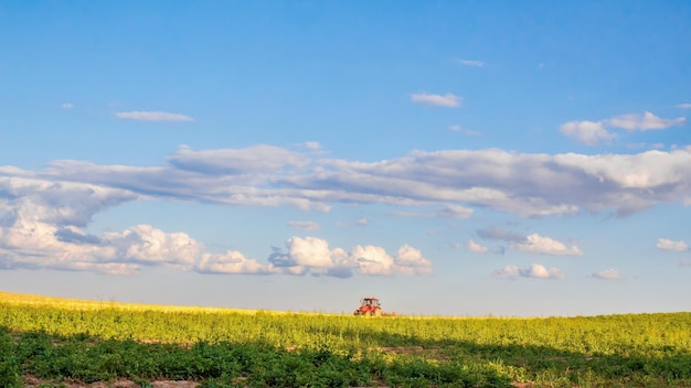 Paesaggio rurale estivo Un trattore ara un campo d'oro cumulus nuvole nel cielo Colori vivaci di agosto