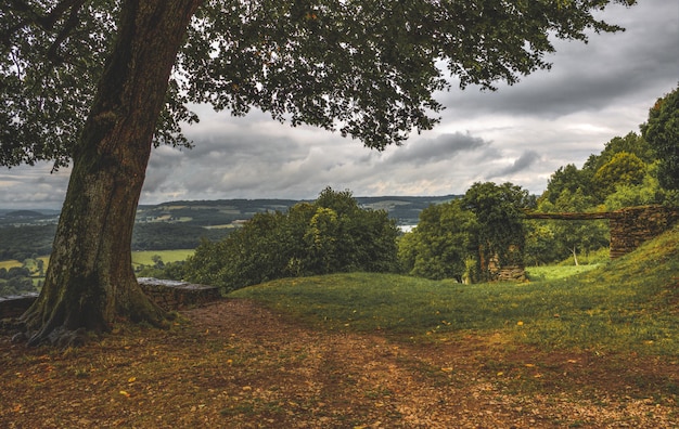 Paesaggio rurale francese con alberi