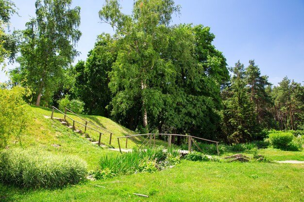 Paesaggio rurale in giornata di sole estivo summer