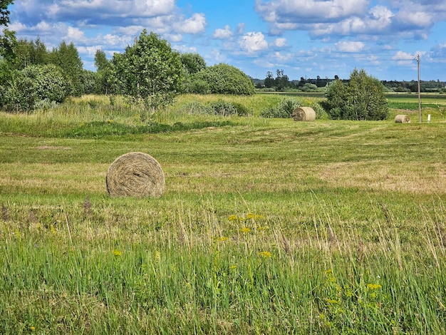 Paesaggio rurale in Lettonia Paesi baltici