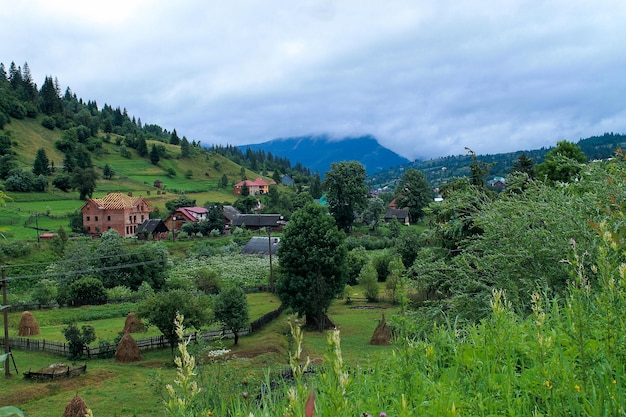 paesaggio rurale in Transcarpazia Ucraina occidentale Montagne foresta nebbia