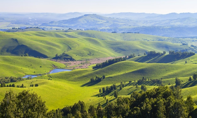 Paesaggio rurale in una soleggiata giornata primaverile