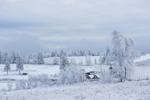 Paesaggio rurale invernale con alberi e colline coperte di neve