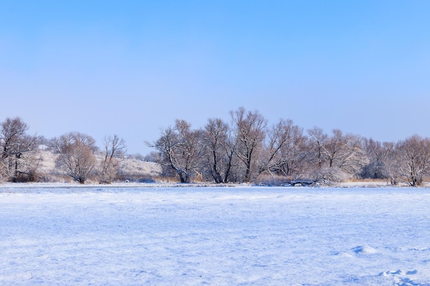 Paesaggio rurale invernale con prato innevato e alberi coperti di neve