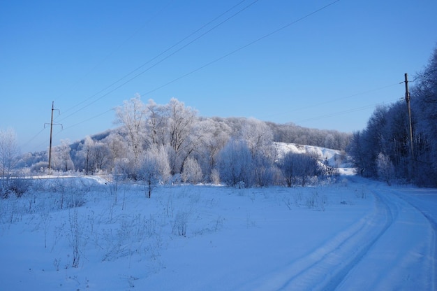 Paesaggio rurale invernale Strada coperta di neve nella foresta Alberi nel gelo Giorno gelido