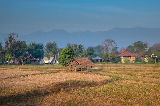 Paesaggio rurale nel nord della Thailandia. Campi di riso raccolti con villaggio e montagne sullo sfondo.