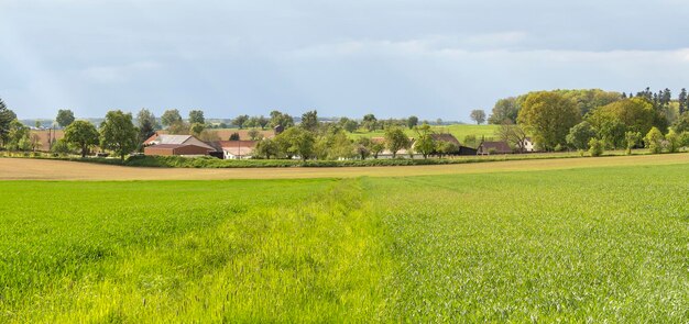 paesaggio rurale primaverile