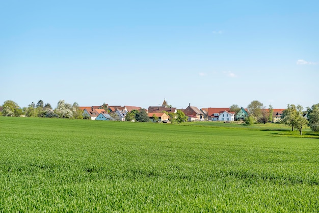 paesaggio rurale primaverile