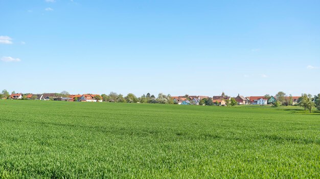 paesaggio rurale primaverile