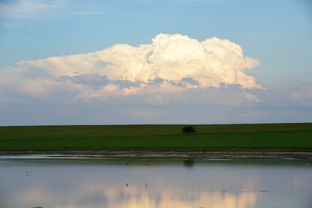 Paesaggio rurale Provincia di Buenos Aires Argentina