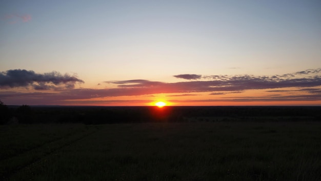 Paesaggio rurale. Un bel tramonto su una collina e una foresta che si estende fino all'orizzonte. Leningrado