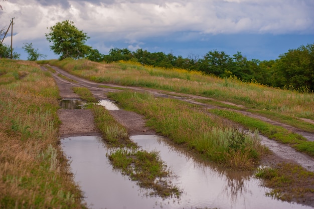 paesaggio rustico con pozzanghere dopo la pioggia