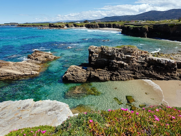 Paesaggio sbocciante della costa atlantica di estate con i fiori rosa e tre spiagge (Spagna).