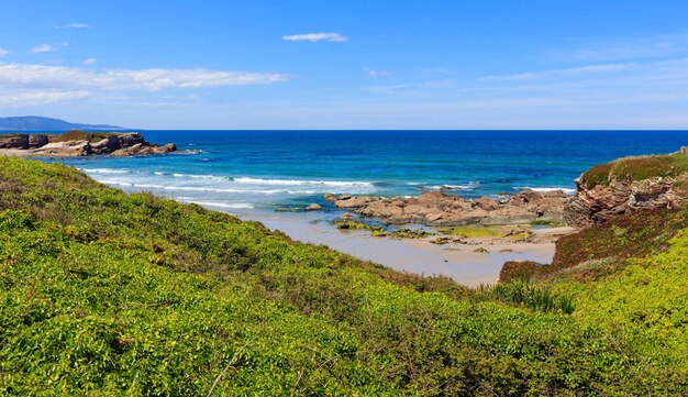 Paesaggio sbocciante della costa atlantica di estate con i fiori rosa (spiaggia di Los Castros, Spagna).