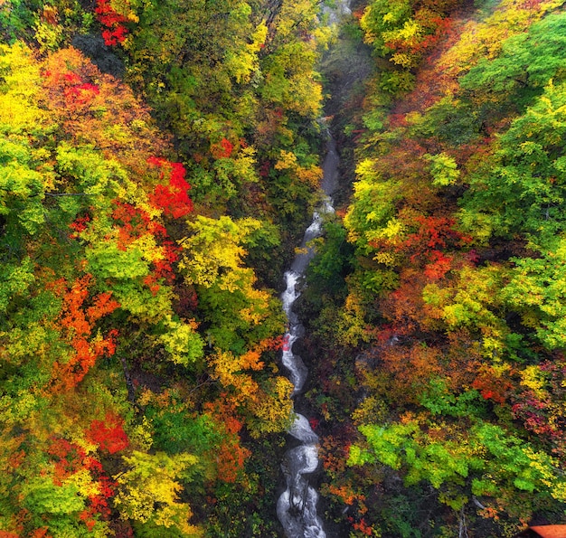 Paesaggio scena di vista dall&#39;alto da Amazing Naruko Gorge