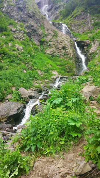 Paesaggio scenico con bella cascata nella foresta tra una ricca vegetazione. l'acqua di sorgente scorre dal fianco della montagna