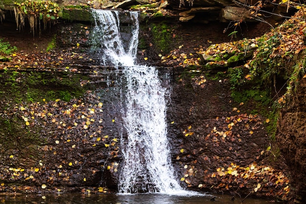 Paesaggio scenico della cascata della foresta di montagna di autunno