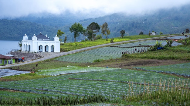 Paesaggio scenico della natura con la moschea