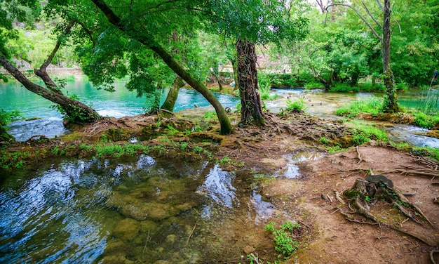 Paesaggio selvaggio nel Parco Nazionale di Krka, Croazia