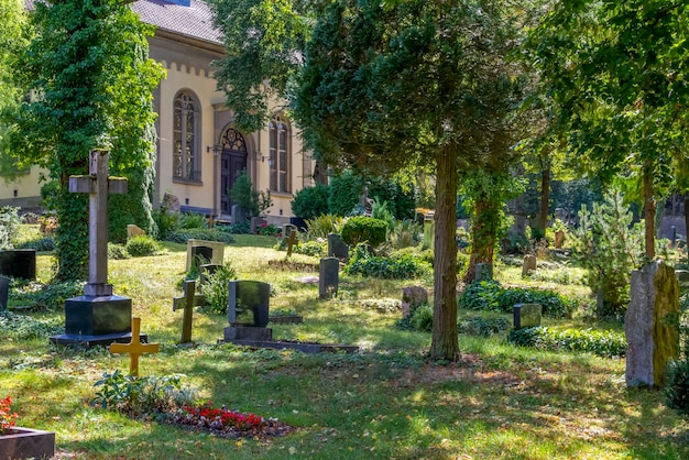 paesaggio soleggiato del cimitero