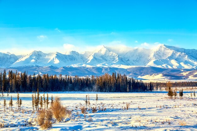 Paesaggio soleggiato di inverno nelle montagne di Altai, Russia.
