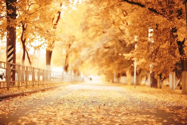 Paesaggio soleggiato nel parco autunnale, parco arancione di sfondo stagione autunnale