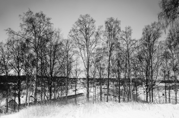 Paesaggio stagionale invernale