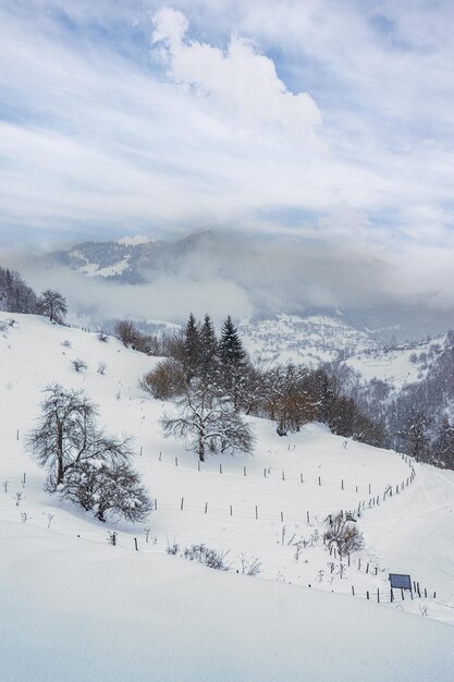 Paesaggio sulla fredda mattina d'inverno Posizione luogo Giresun Highlands Black Sea Turkey