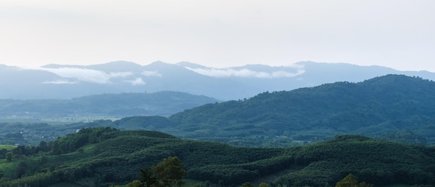 Paesaggio surreale di nebbia mattutina e nuvole