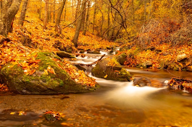 Paesaggio tipicamente autunnale nei campi andalusi