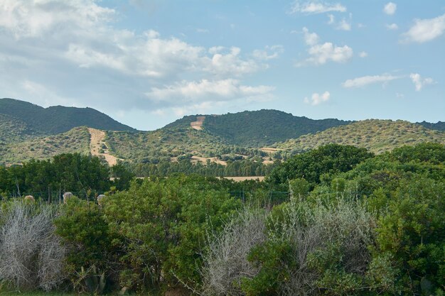 Paesaggio tipico delle montagne del sud Sardegna, completamente naturale, immerso nel verde durante il giorno.