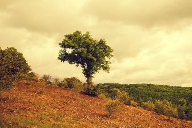 Paesaggio toscano in caso di pioggia con cielo nuvoloso drammatico Val d'Orcia Italia