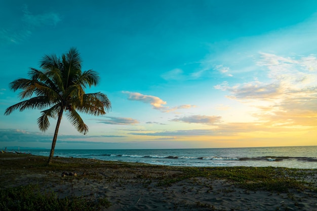 Paesaggio tropicale al tramonto con palme e spiaggia