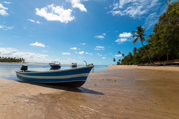 Paesaggio tropicale con spiaggia con barche sull'isola di Boipeba Bahia Brasile.