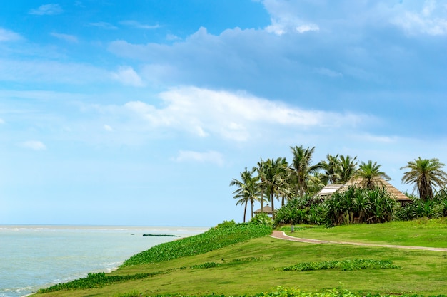 Paesaggio tropicale dell'isola, isola di Hainan, Cina