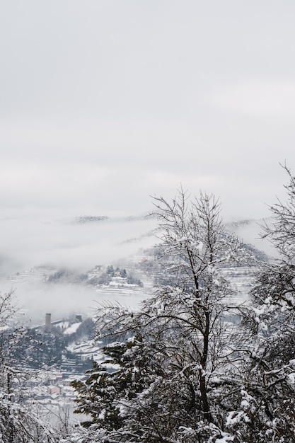 Paesaggio tutto bianco coperto da neve e nebbia nel nord Italia.