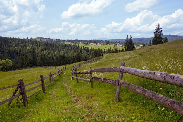 Paesaggio ucraino